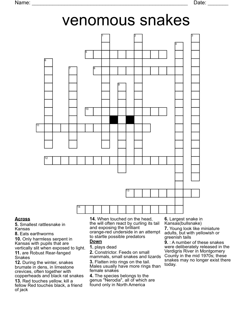 Venomous Snakes Crossword WordMint