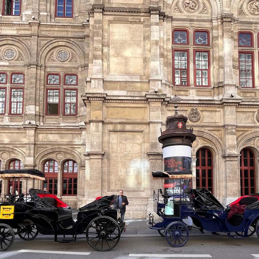 horse drawn carriage crossword clue