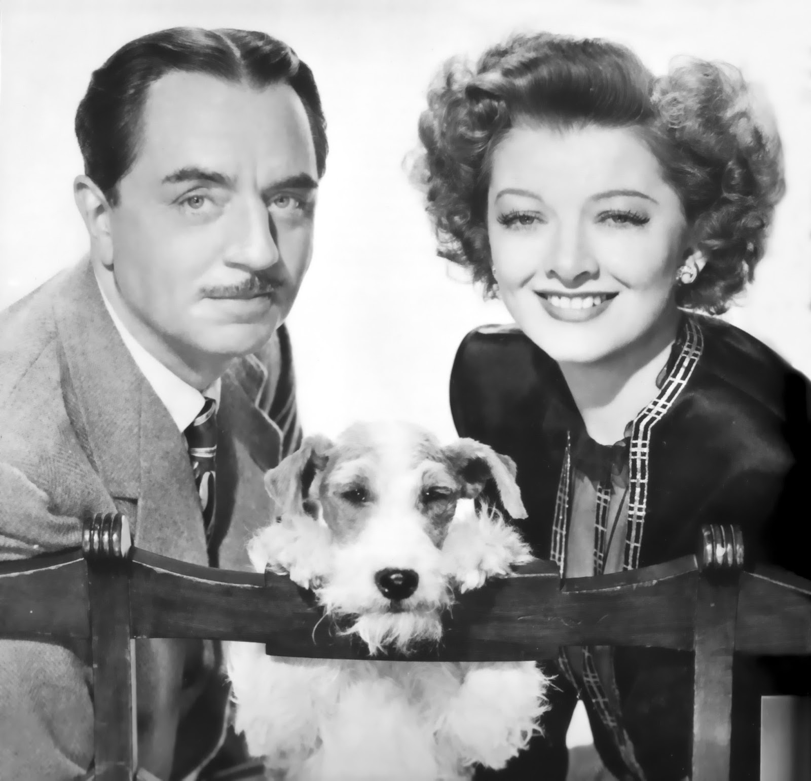 View From The Birdhouse Dear Abby Favorite Dog Movies Asta From The Thin Man