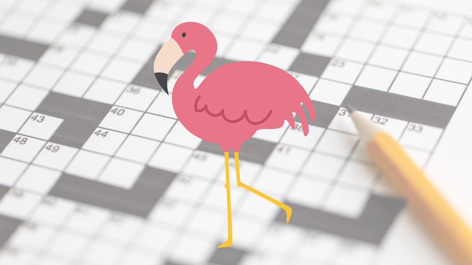 marsh bird crossword clue