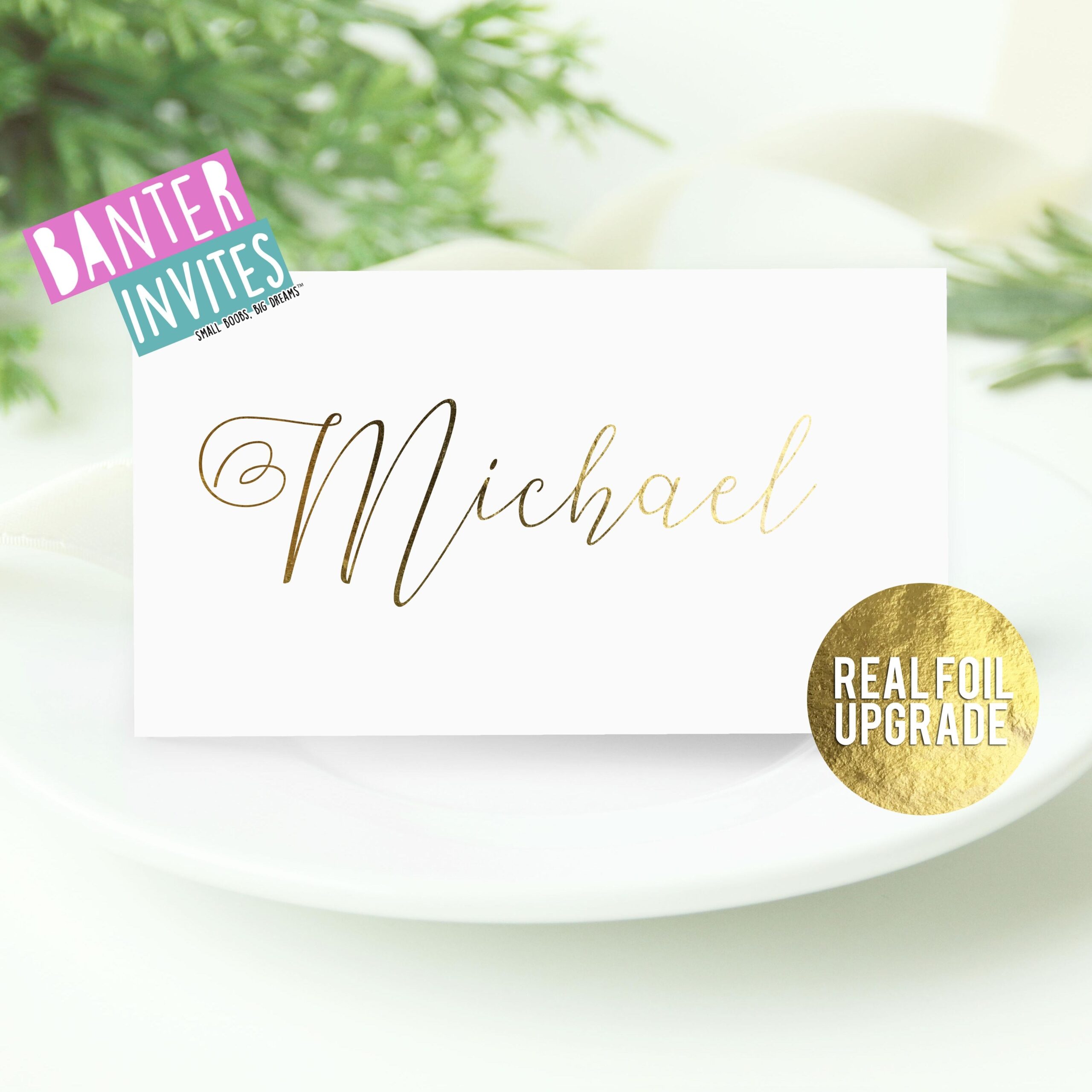 WEDDING NAME PLACE CARDS WEDDING PARTY CARDS