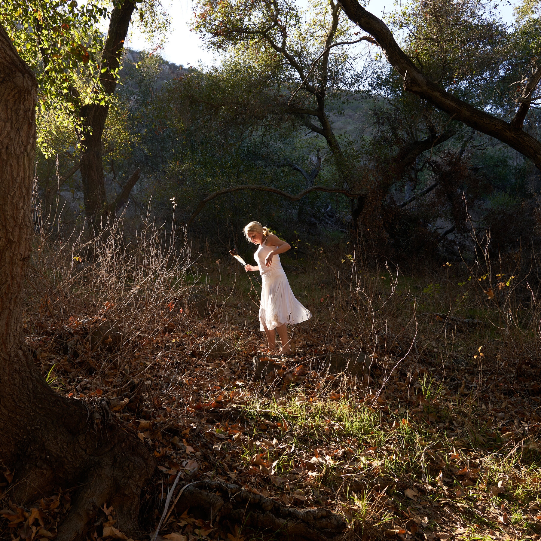 Who Is Carissa Schumacher The New York Times