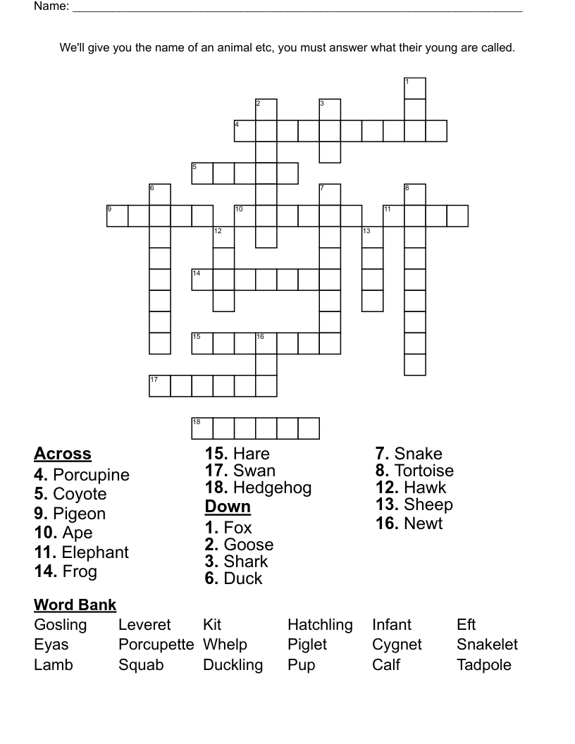 Woodland Babies Crossword WordMint