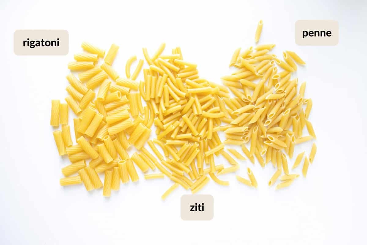 Ziti Pasta Vs Rigatoni And Penne What s The Difference The Matbakh